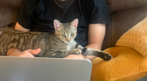Parker works while his cat Margot sits on his lap.
